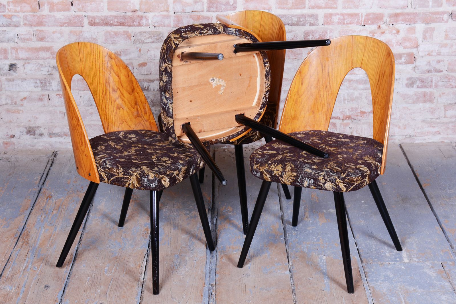 Furniture Set Of Four Restored Mid Century Chairs, Beech, Oak, Slovakia, 1950 1959 photo