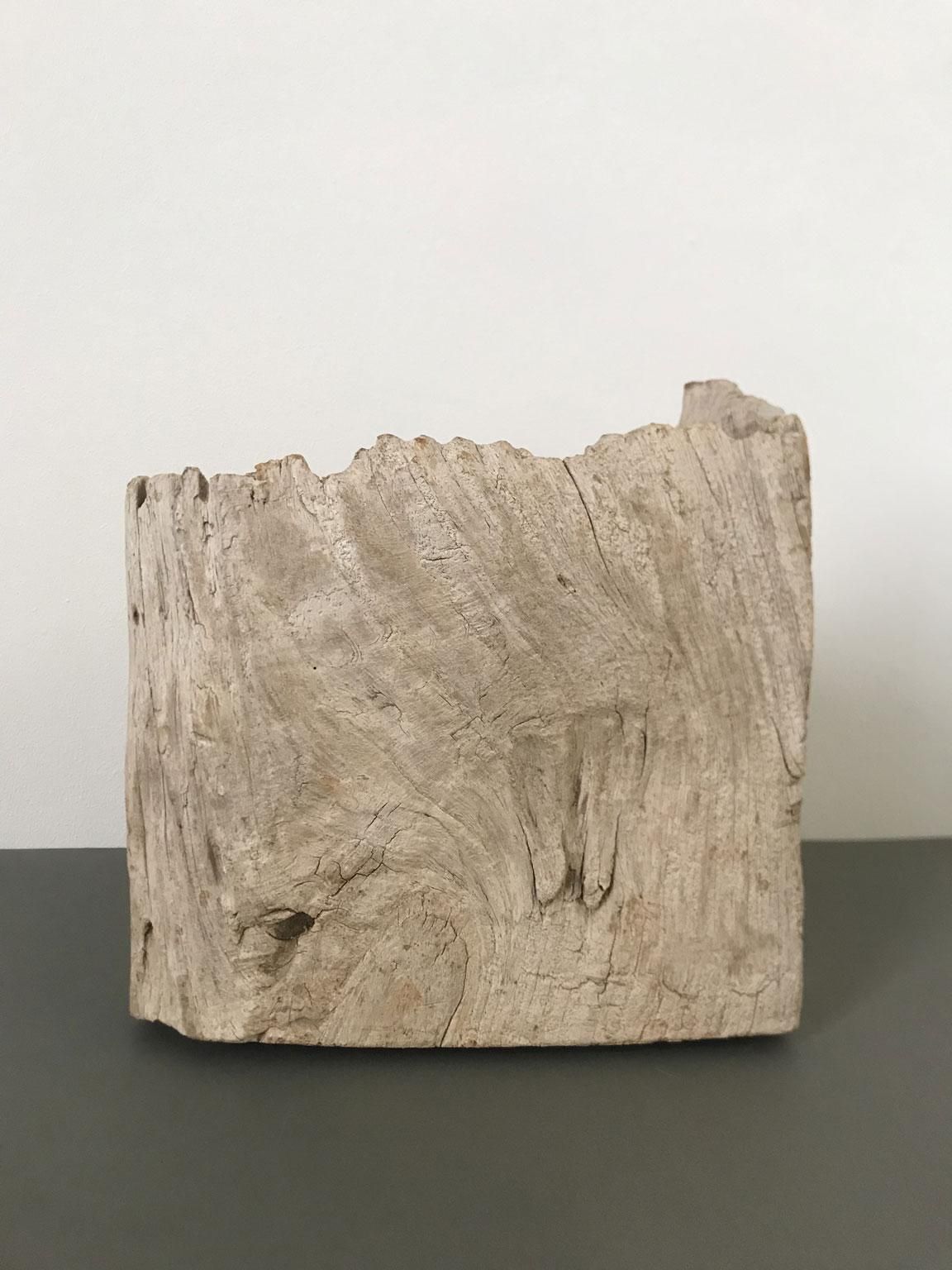 Organic Modern Natural Wooden Hand Carved Abstract Sculpture Or Paperweights photo Art