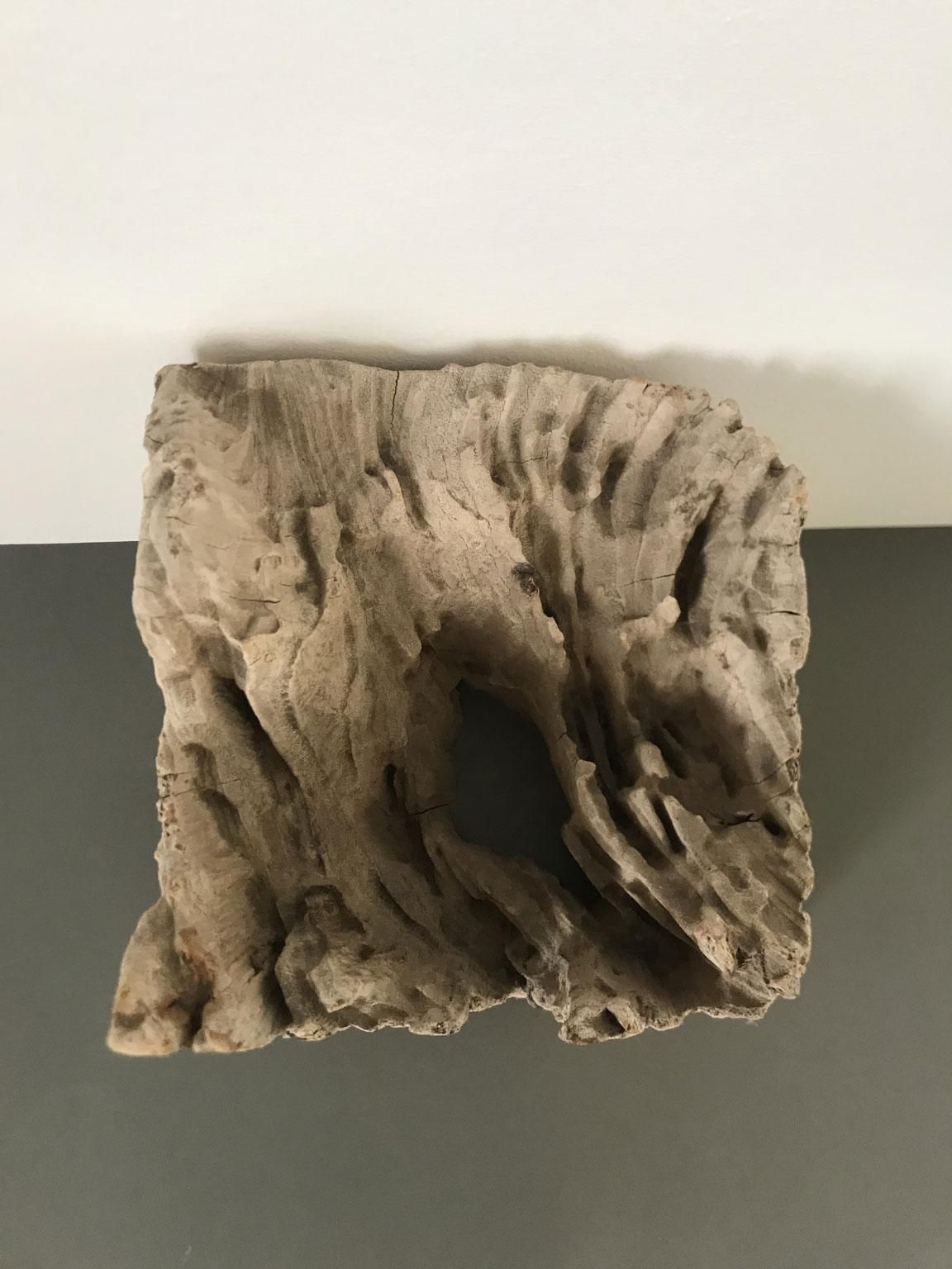 Organic Modern Natural Wooden Hand Carved Abstract Sculpture Or Paperweights photo buy