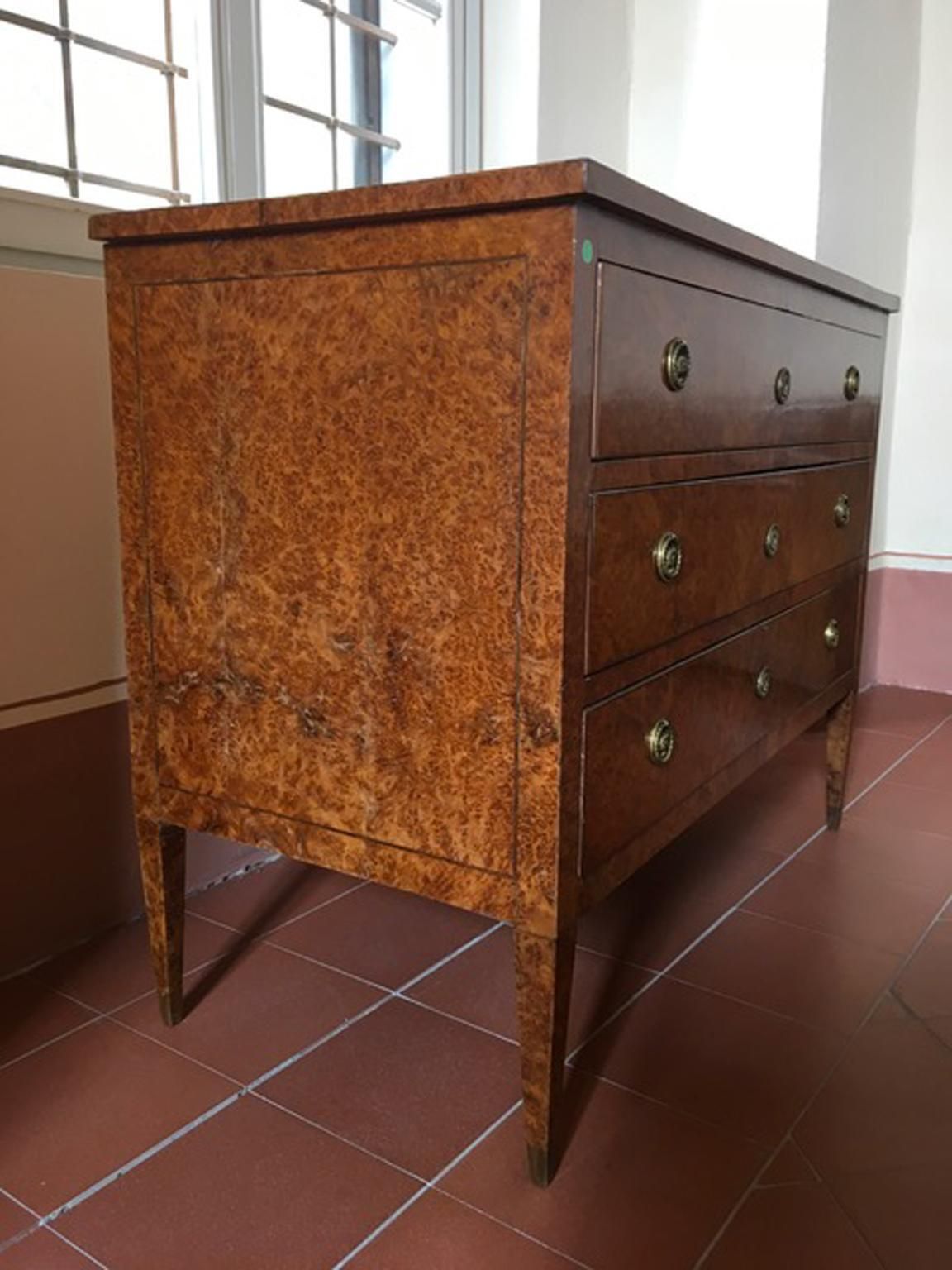 Italy Late 18th Century Regency Elmwood Root Chest Of Drawers photo vintage