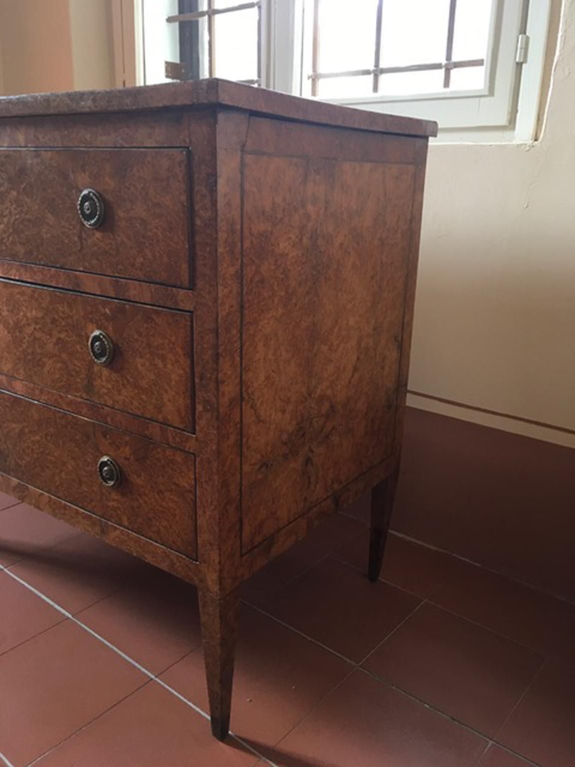 photo furniture Italy Late 18th Century Regency Elmwood Root Chest Of Drawers