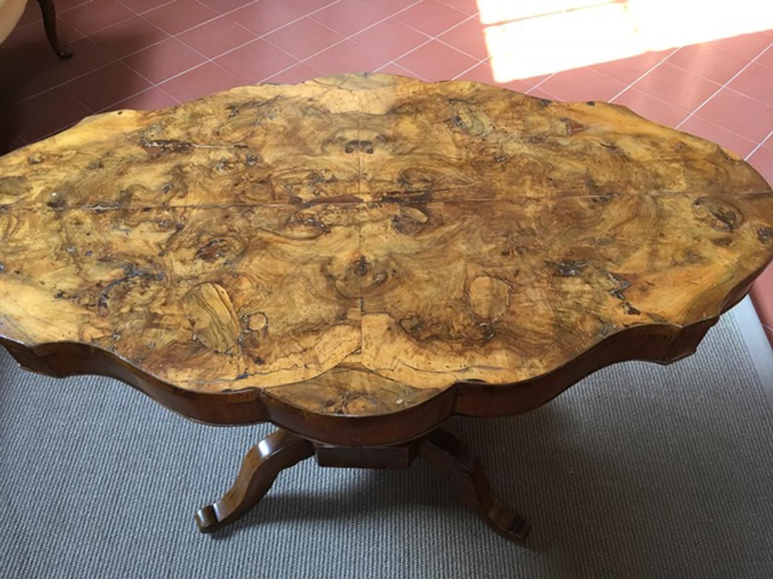 photo vintage Italy 18th Century Regency Walnut Briar Root Oval Table
