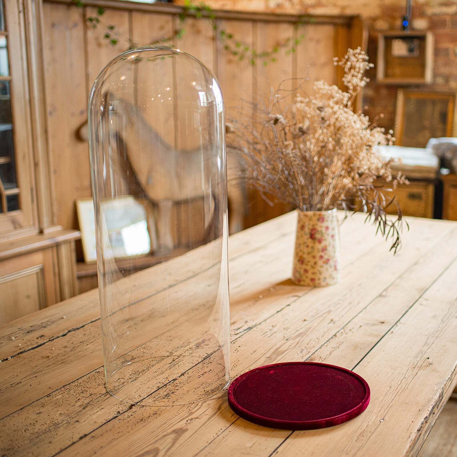 Large Antique Display Dome, Edwardian, Glass, Showcase, Taxidermy, Circa 1910 photo for sale