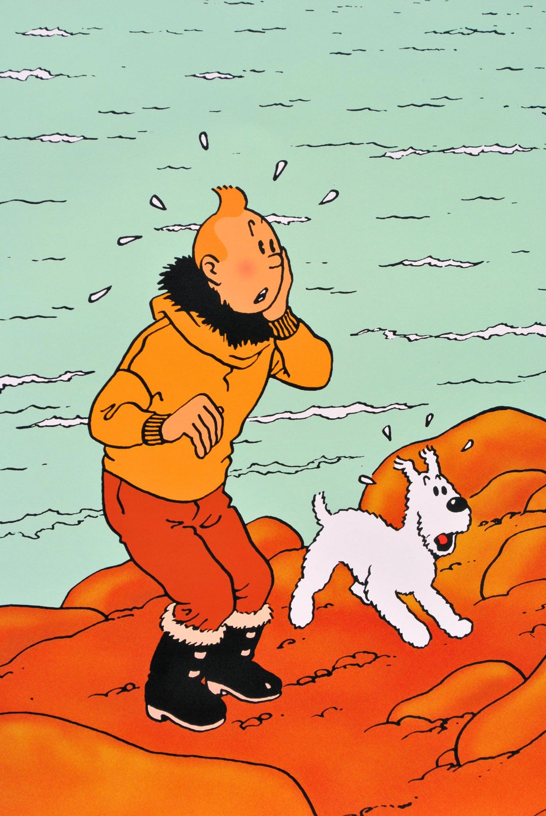 Hergetintin : The Shooting Star   Official Print (Tintin Museum)2024 photo 128.0