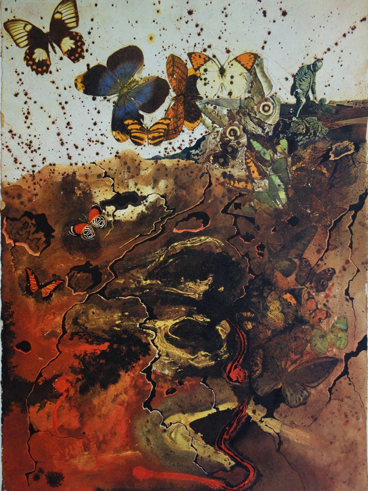 Butterfly Suite : Auvergne   Heliogravure And Lithograph   19691969 photo vinterior