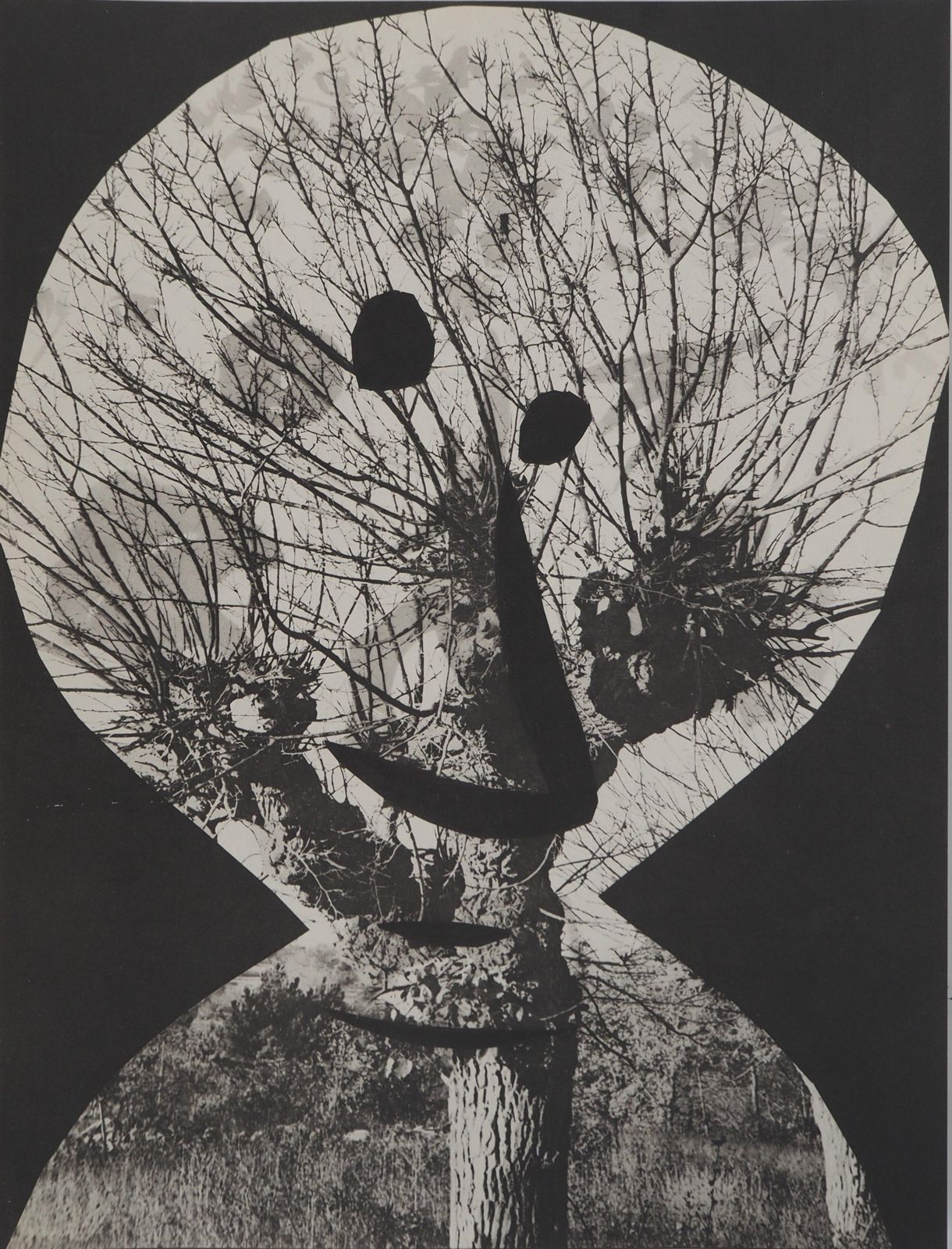 Pablo Picassodiurnes: The Guy In A Tree   Original Collotype And Stencil (Cramer #115)1962