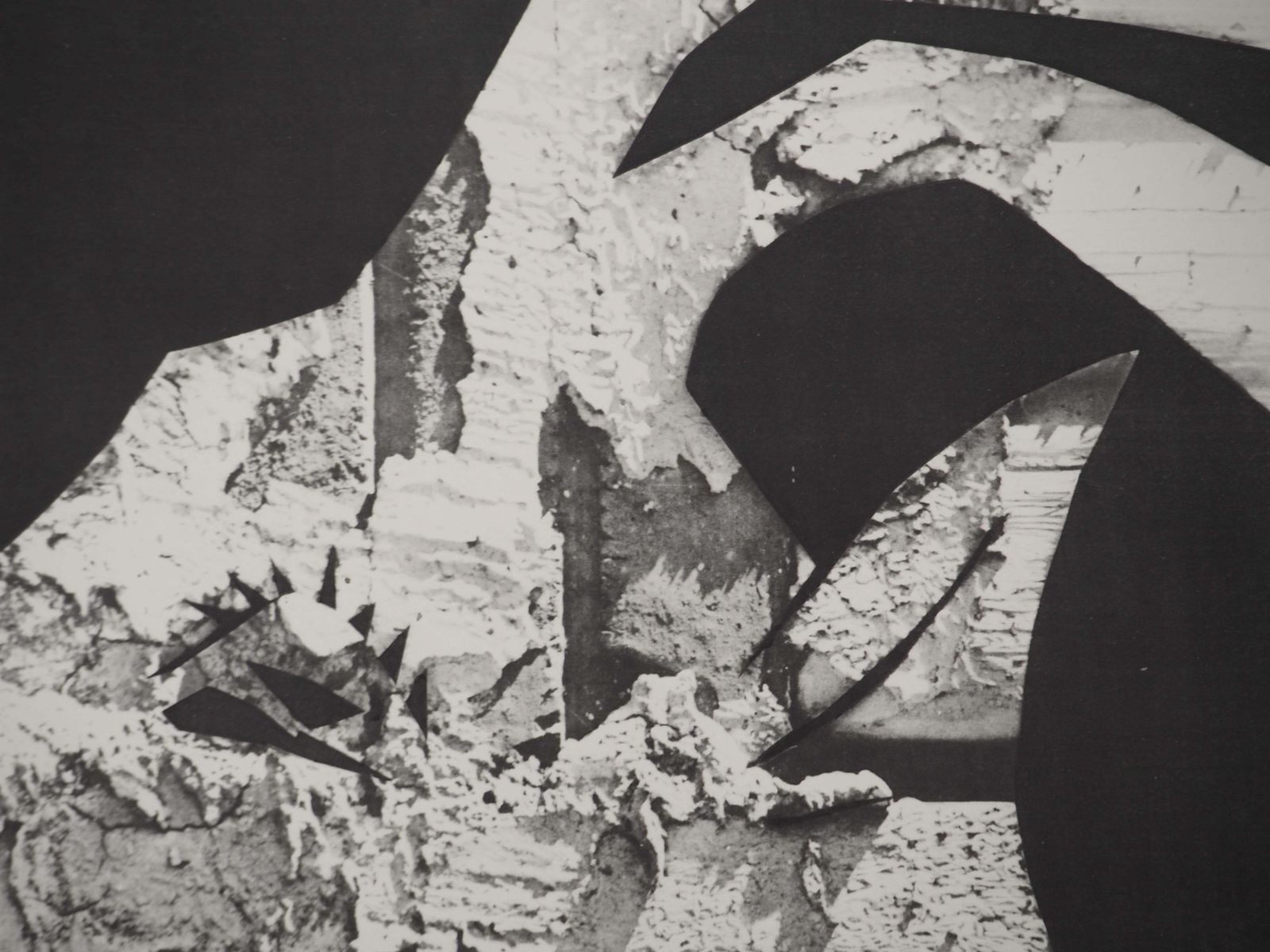 Pablo Picassodiurnes: On The Rock   Original Collotype And Stencil (Cramer #115)1962 photo 300.0