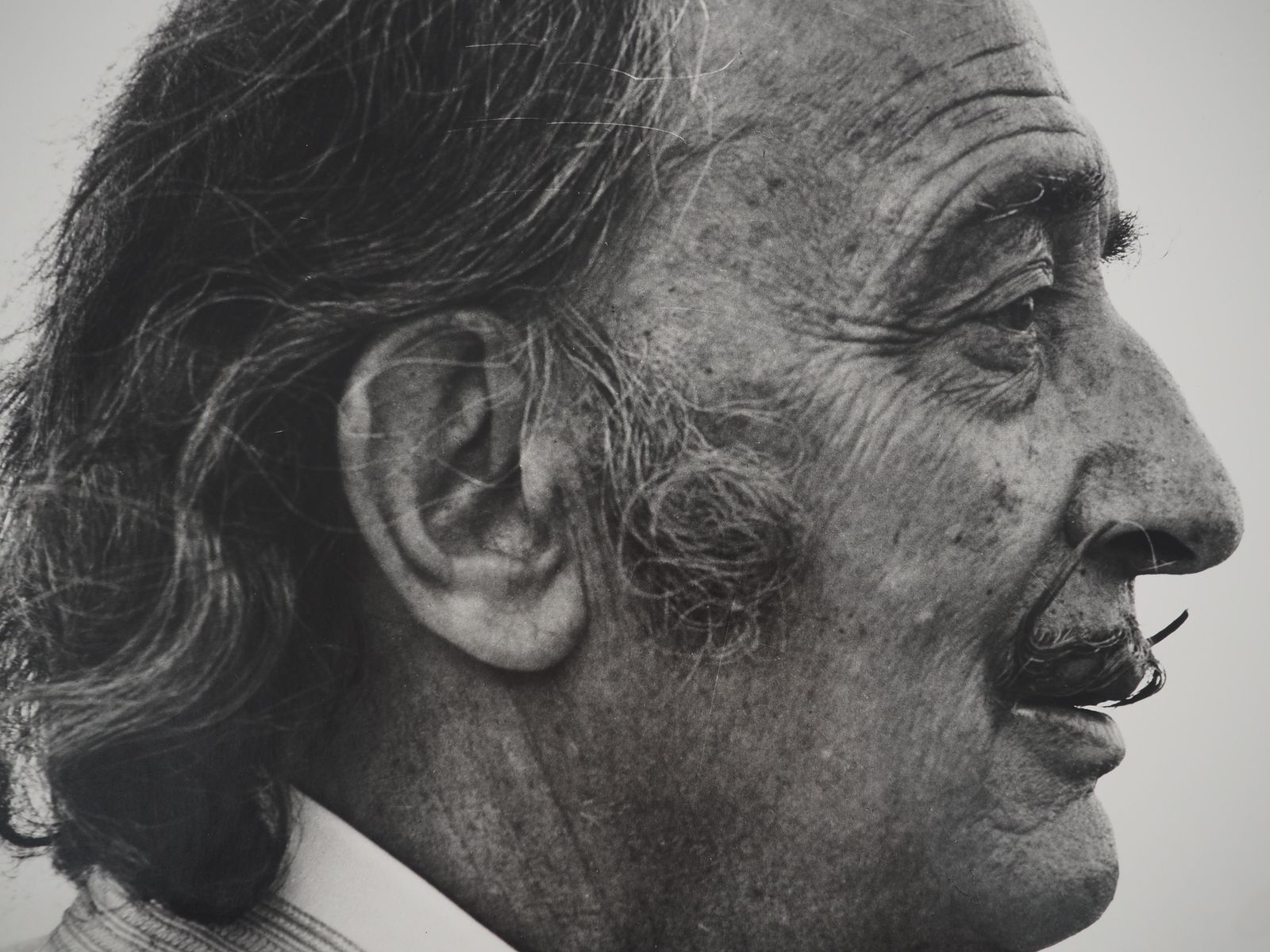 Marc Lacroixdalí Staring At The Horizon   Original Gelatin Silver Photography, Signed1971 photo 591.0