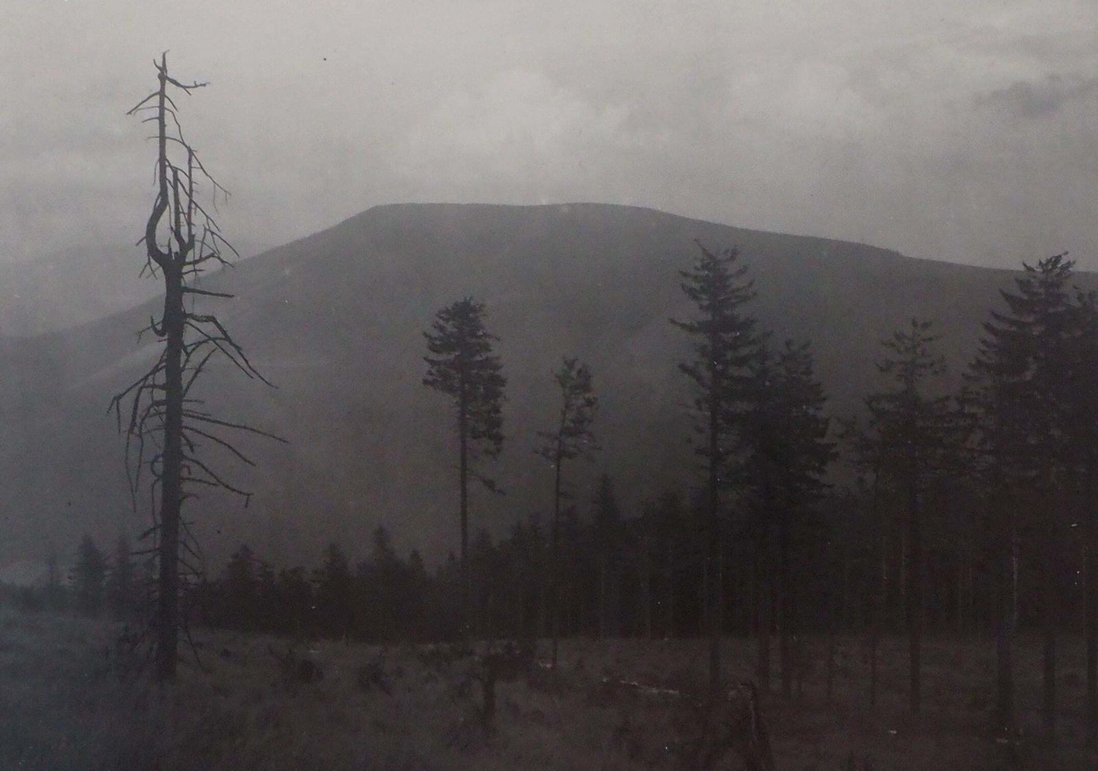 Josef Sudekbeskydy : Czech Mountains   Original Gelatin Silver Photograph, 19561956 photo for sale