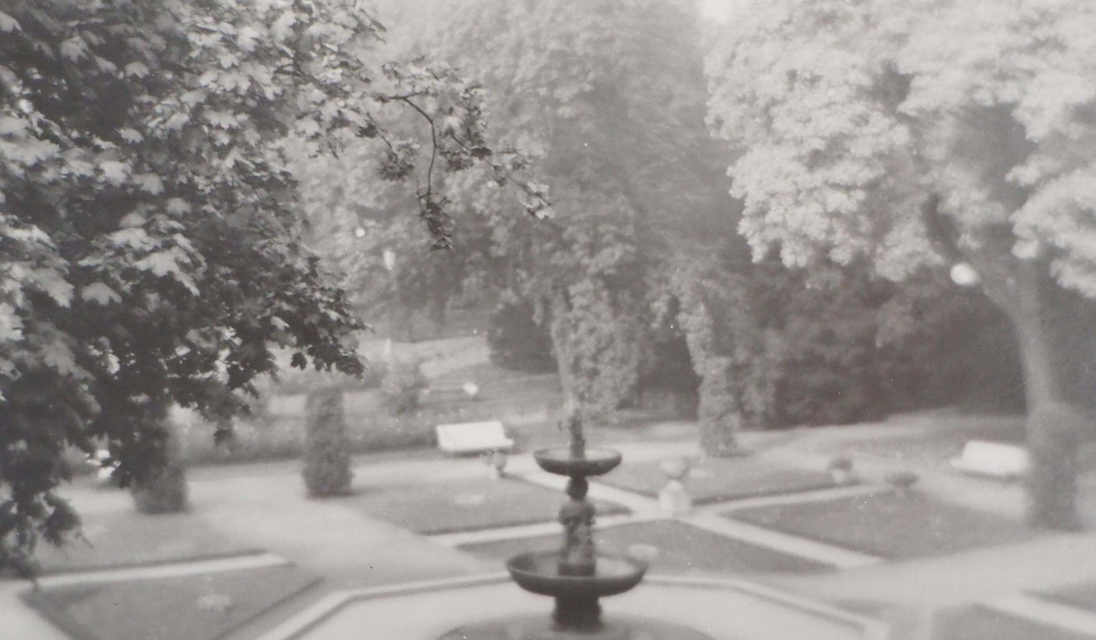 Josef Sudekprague : Royal Garden   Original Gelatin Silver Photograph, 19691969 photo Art