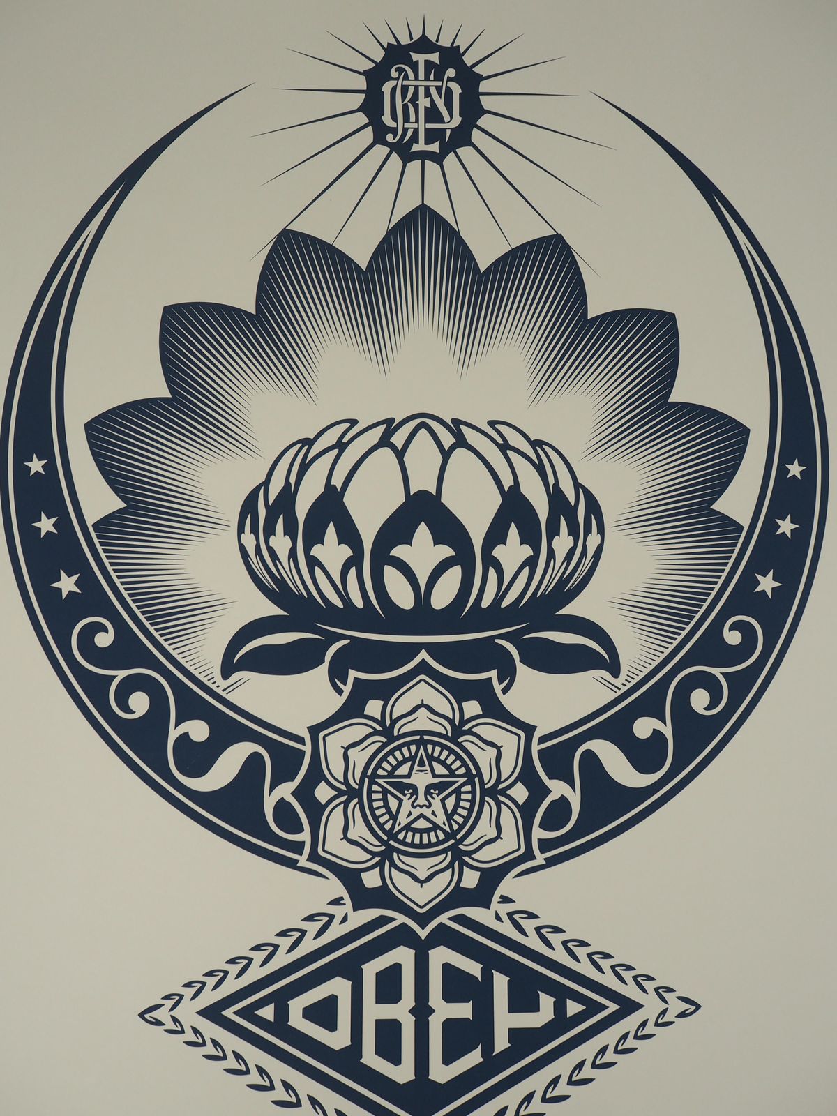 Shepard Faireyharmony : The Lotus Flower   Tall Original Screenprint Signed & Numbered /89 photo vinterior