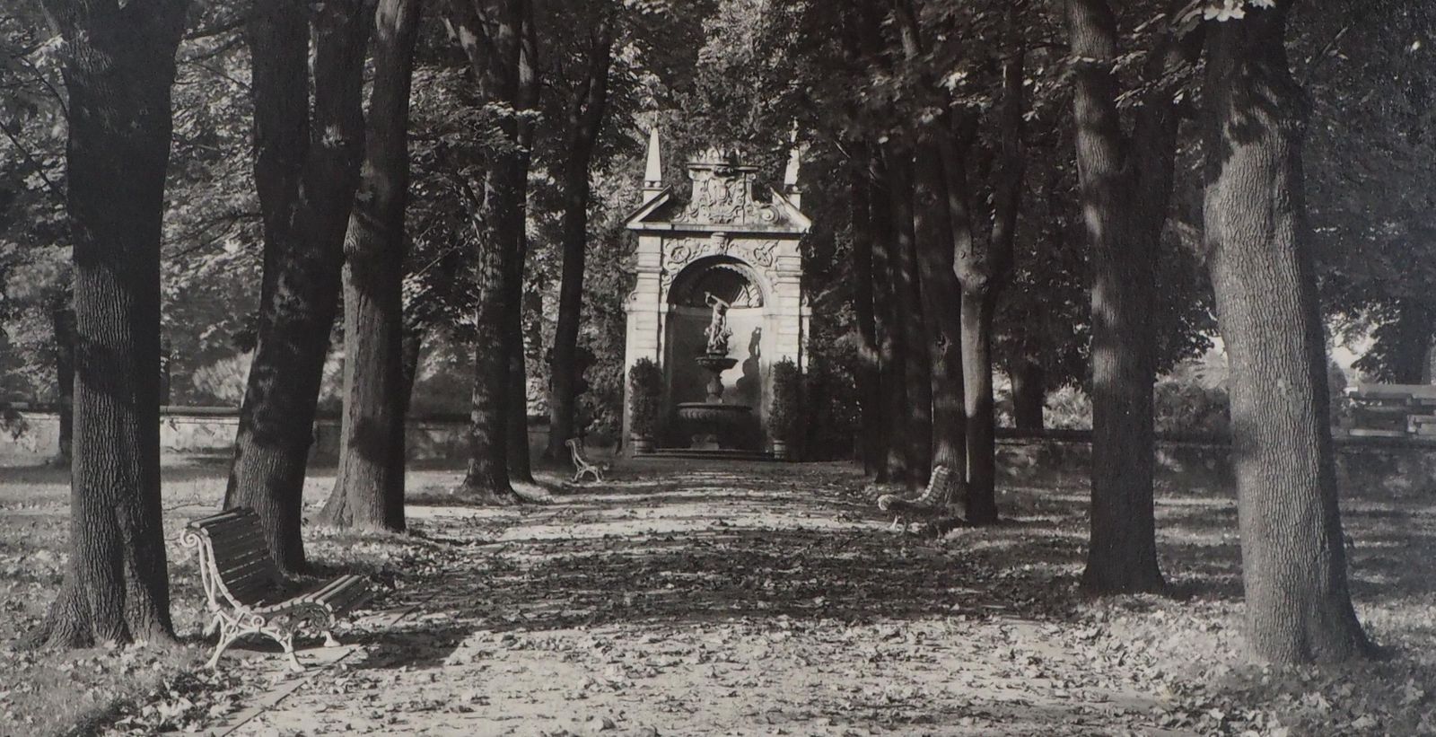 Josef Sudekprague : Royal Gardens   Original Hand Signed Gelatin Silver Photograph, 19761976 photo 2133.0