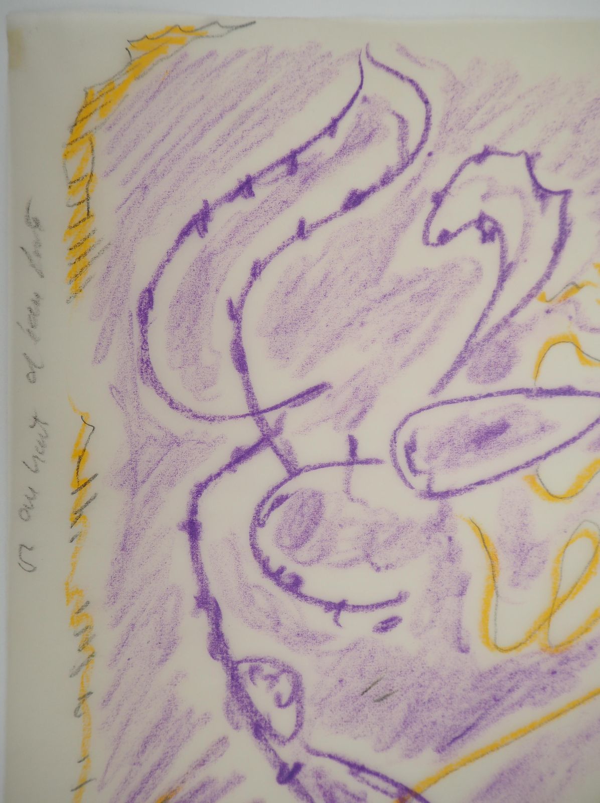 André Massonsurrealistic Flower   Original Colour Pencil Drawing photo 683.0