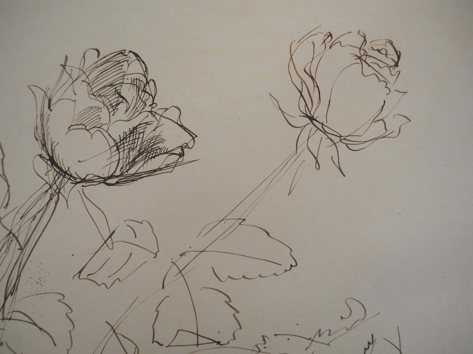Jean Dufybouquet Of Roses   Original Ink Drawing, Signed photo buy