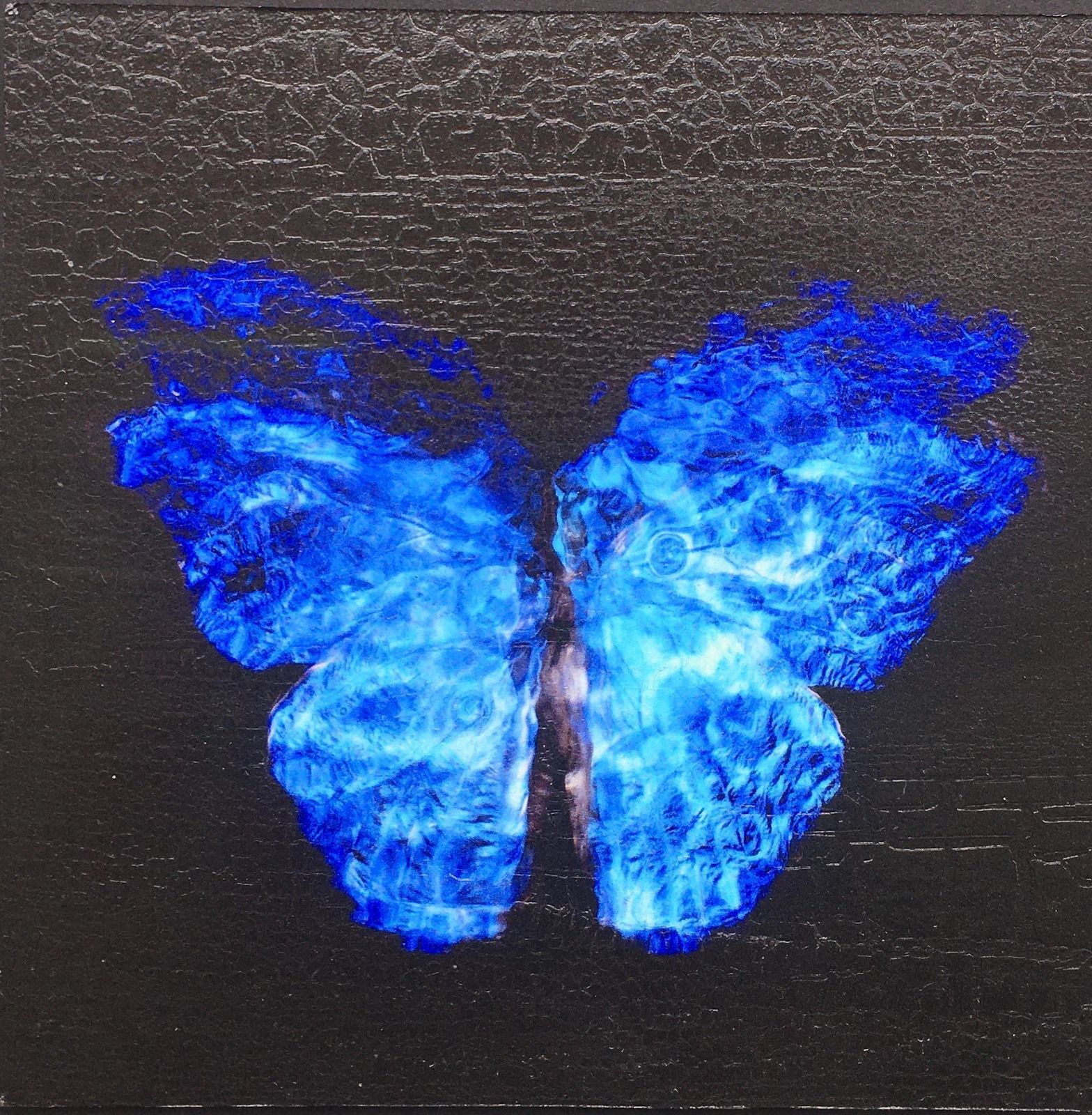 Alexander James Hamilton Transparency Of A Dream [2.0 Ix]2019 photo furniture
