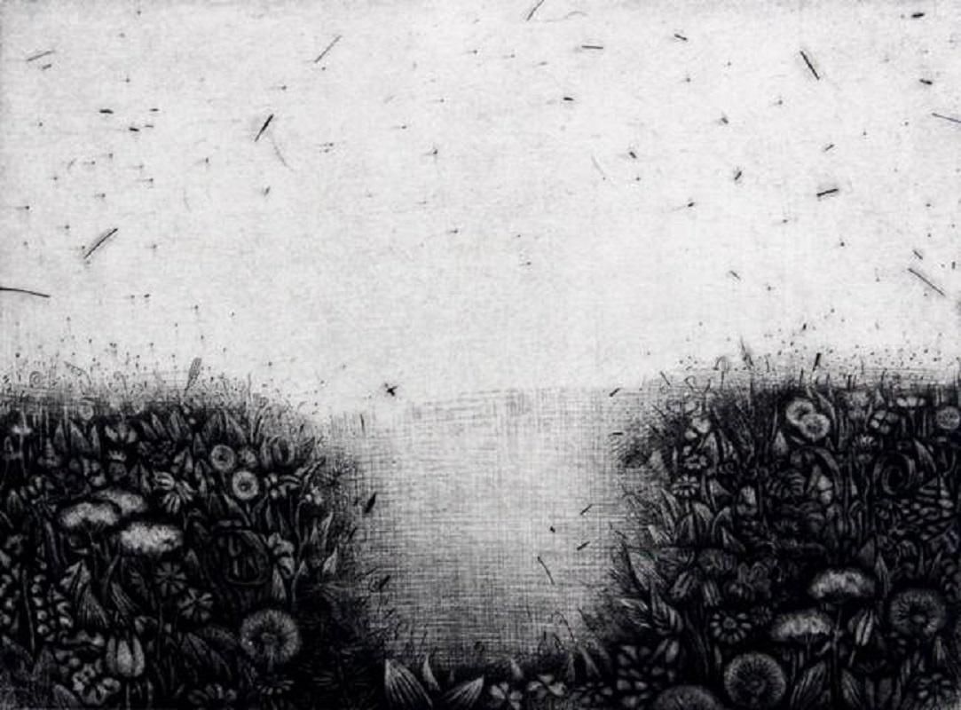 Aleksandra Makowskaherbarium   Xxi Century, Figurative Print, Flora, Black And White2003