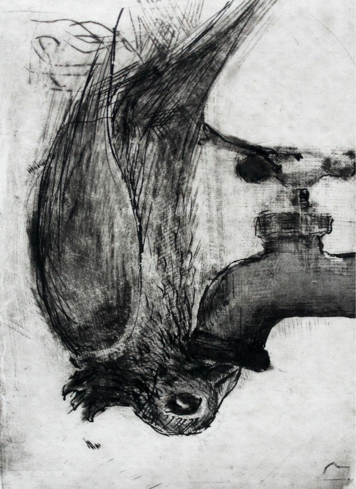 Krystyna Jaszkebird II   Xxi Century, Black And White Figurative Print, Animals2013