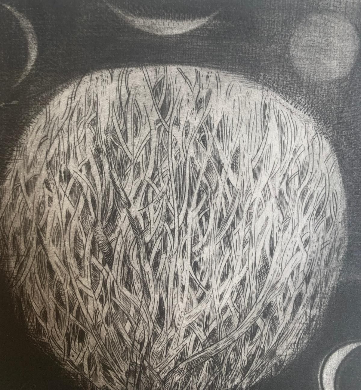 Ewa Kutylaka Concert. Mezzotint Print, Limited Edition, Monochromatic, Polish Artist 2010 photo vinterior