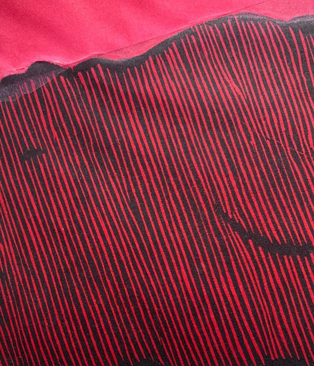 Ryszard Gieryszewskia Division. Woodcut, Linocut, Op Art, Abstract Print, Colorful, Polish Art1998 photo 597.0