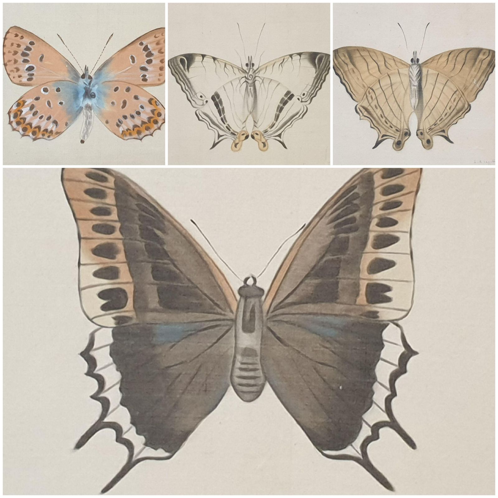 La Roche Laffitteset Of Four Butterflies. French Watercolours On Silk Laid On Handmade Paper.