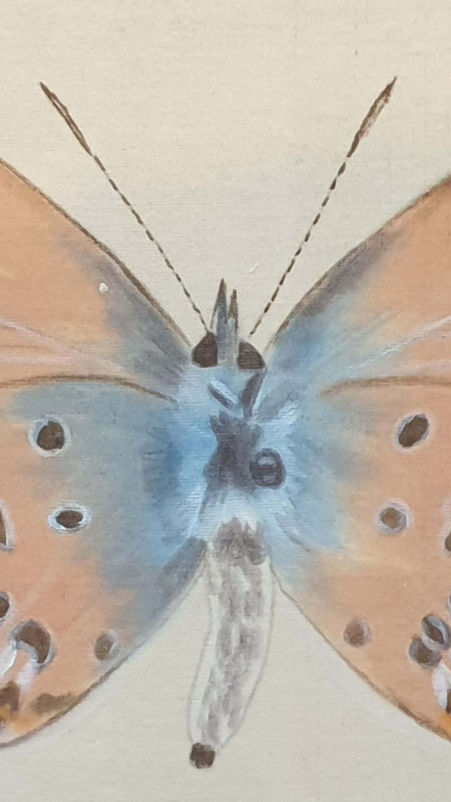 La Roche Laffitteset Of Four Butterflies. French Watercolours On Silk Laid On Handmade Paper. photo vinterior