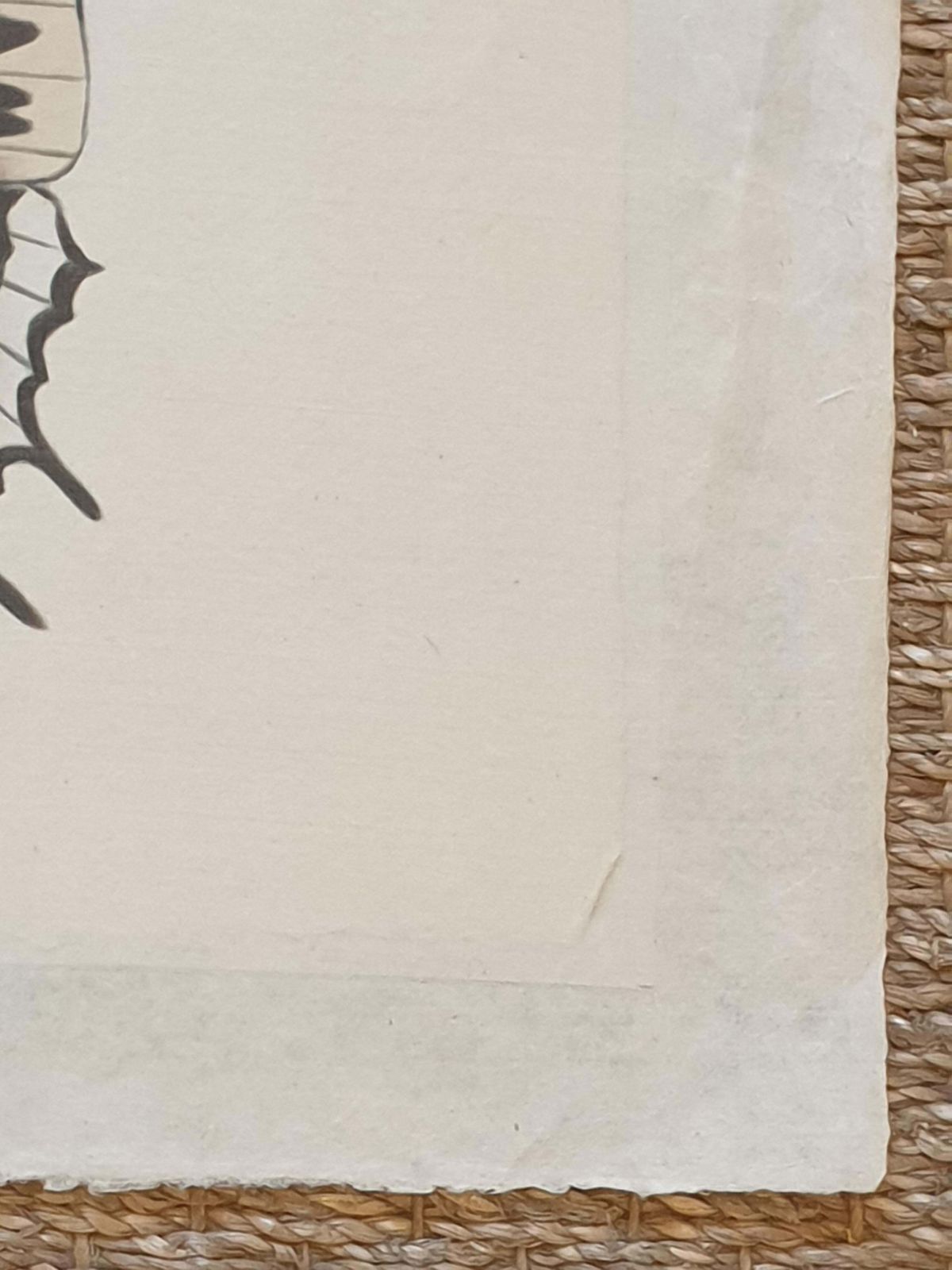 La Roche Laffittestudy Of A Butterfly, Watercolour Silk Applied Handmade Paper. La Roche Laffitte photo vintage
