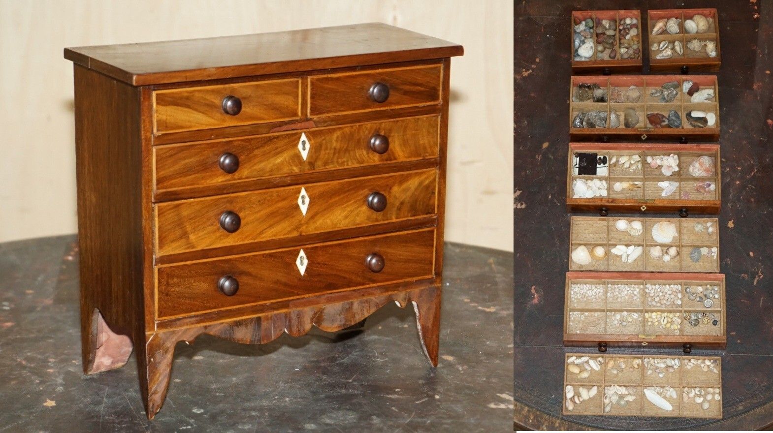Antique Georgian Circa 1780 1820 Seashell Specimen Collectors Chest Of Drawers