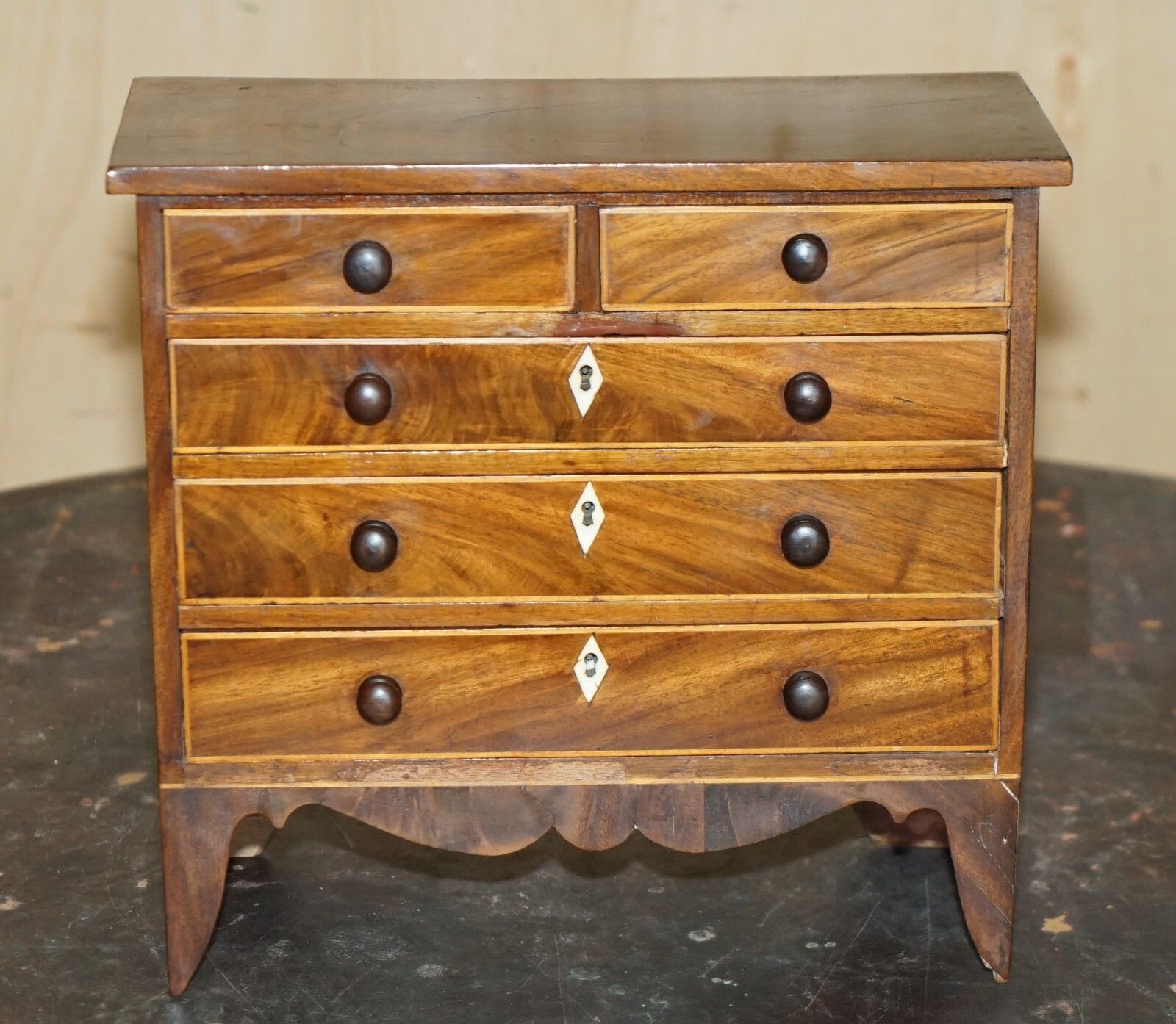 Antique Georgian Circa 1780 1820 Seashell Specimen Collectors Chest Of Drawers photo for sale