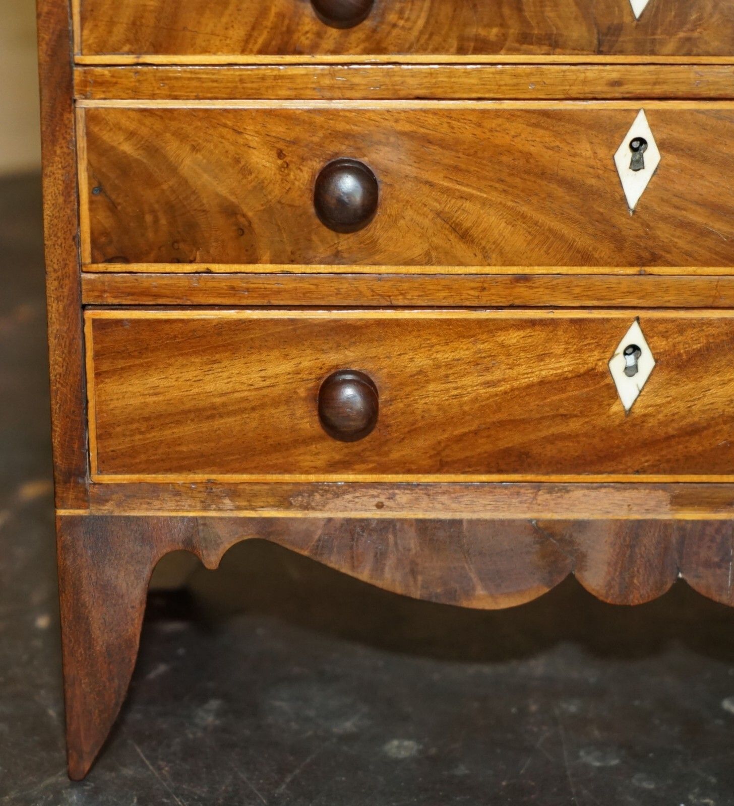Antique Georgian Circa 1780 1820 Seashell Specimen Collectors Chest Of Drawers photo 2750.0
