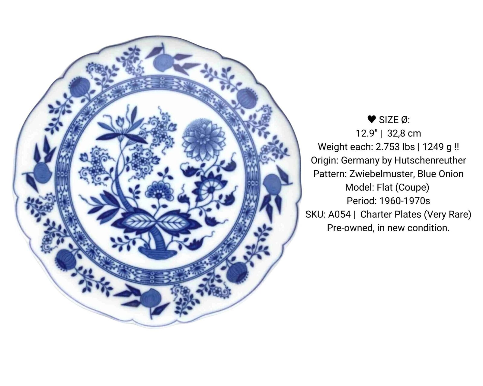 Porseleinen Onderborden | 2 Stuks | Blauw Uienpatroon | 12,9 Inch (32,8 Cm) | Hutschenreuther (Zeldzaam!) photo Woonaccessoires