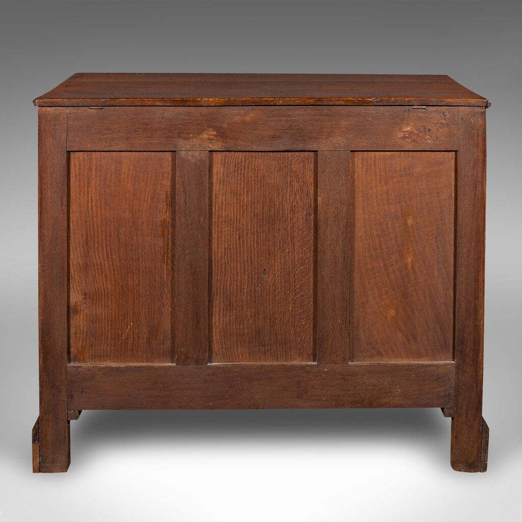 Large Antique Mule Chest, Georgian, Oak, Coffer Over Three Drawers, Circa 1780 photo 3316.0