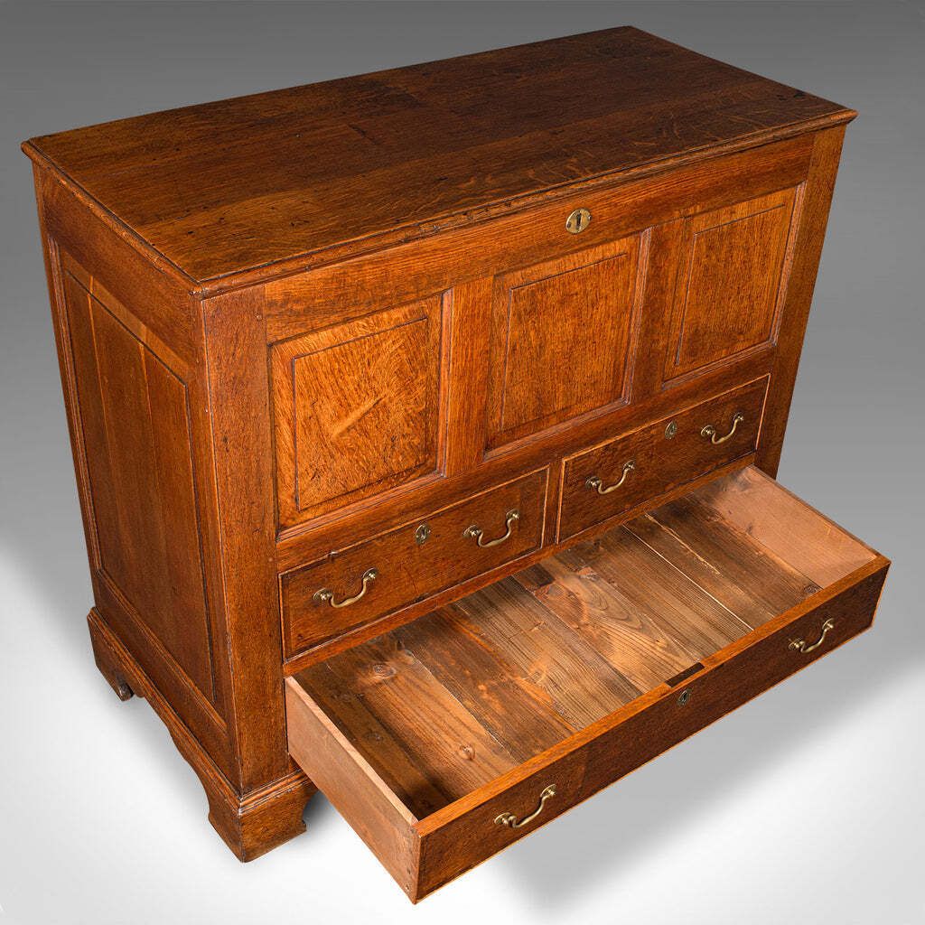 Large Antique Mule Chest, Georgian, Oak, Coffer Over Three Drawers, Circa 1780 photo vintage