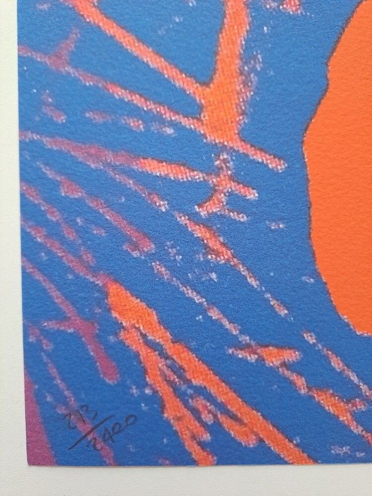 1980 Andy Warhol Signed Limited Edition Lithograph Flowers (Poppy) photo Art