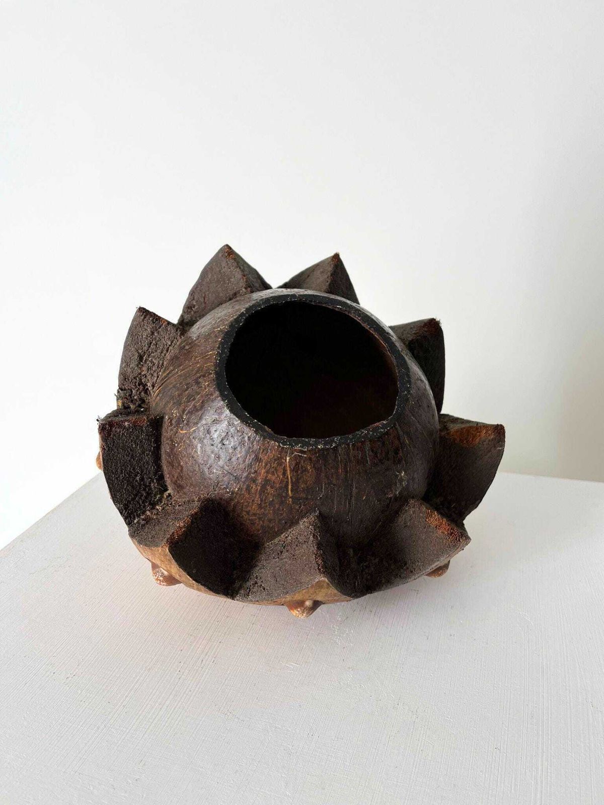 Carved Coconut Shell Bowl Sculpture With Shell Decoration And Zig Zag Profile Design photo Art