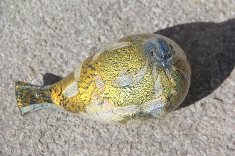 Pigeon Murano Art Glass Green Gold White Blue Zanfirico Avem Design 1960s photo for sale
