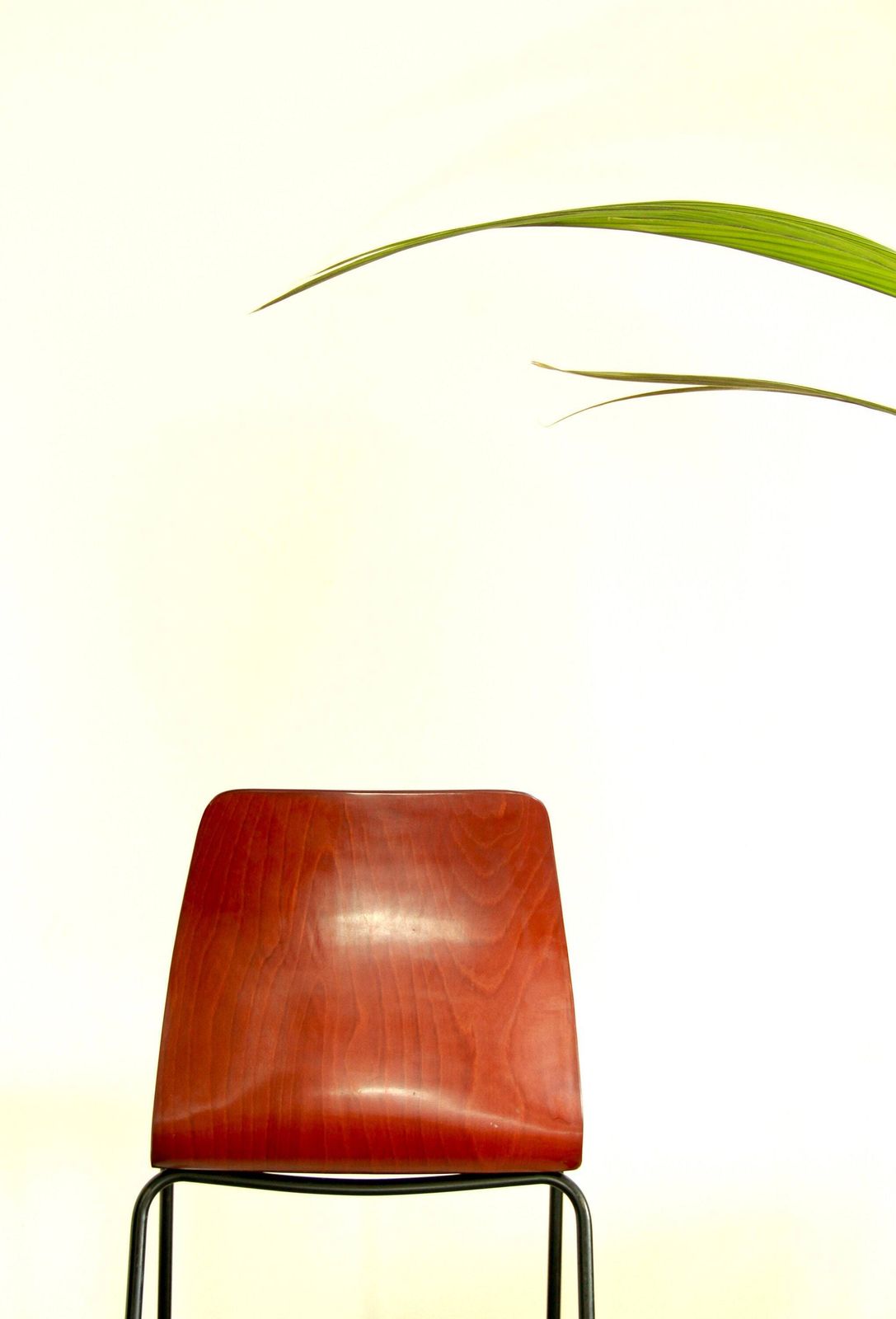 photo furniture Scocca, Mid Century Chair By Pagholz, West Germany, 1956