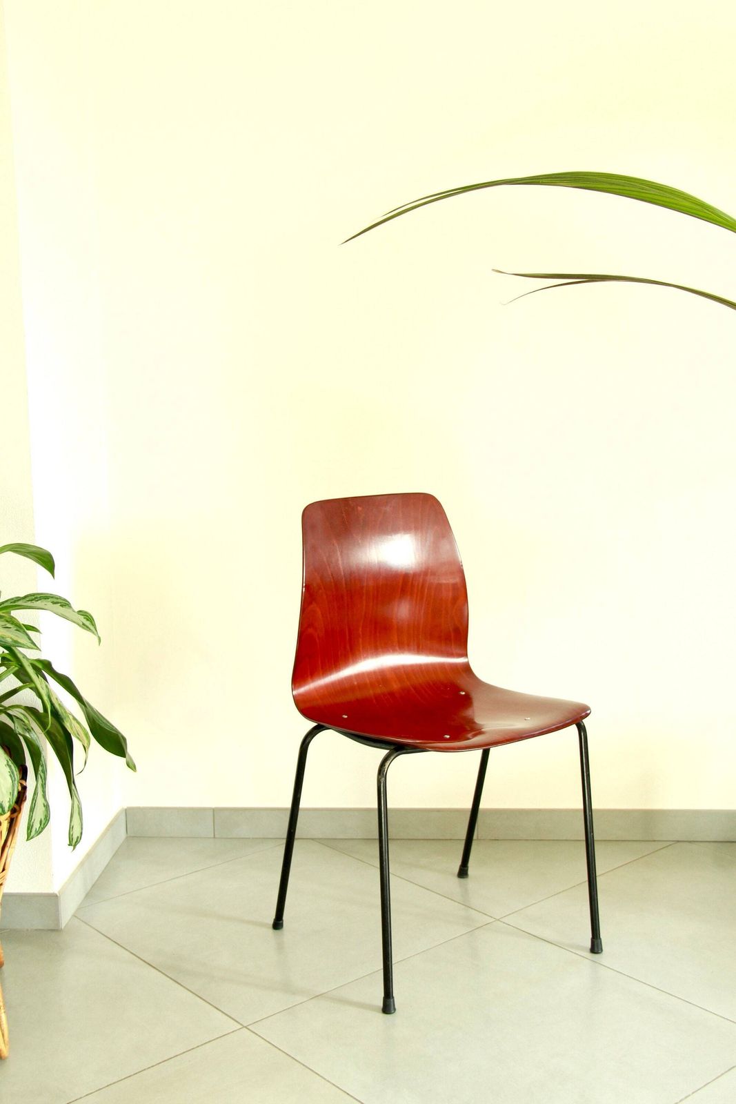 photo for sale Scocca, Mid Century Chair By Pagholz, West Germany, 1956