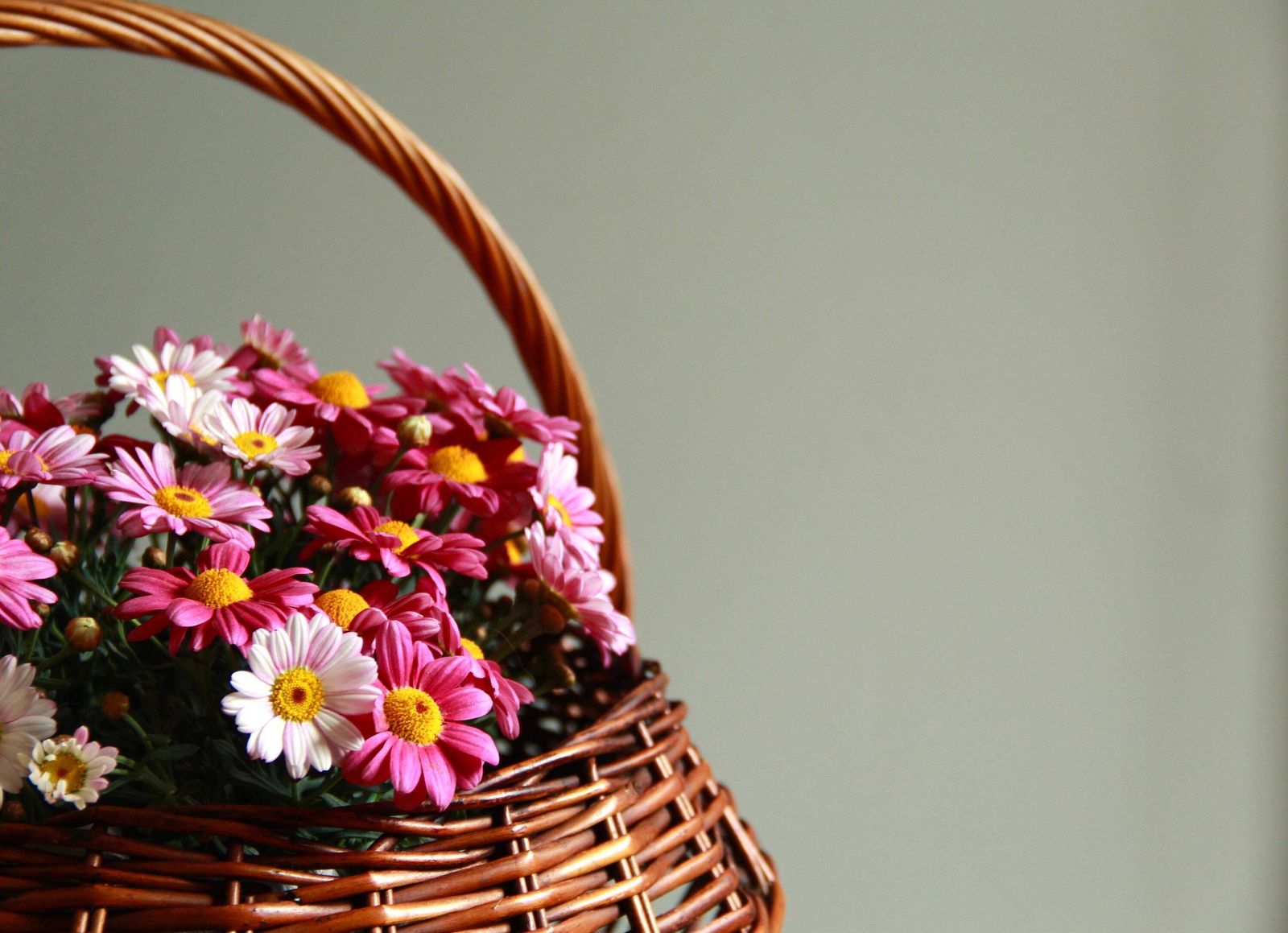 Flora, Wicker Plant Stand, Italy, 50's photo for sale