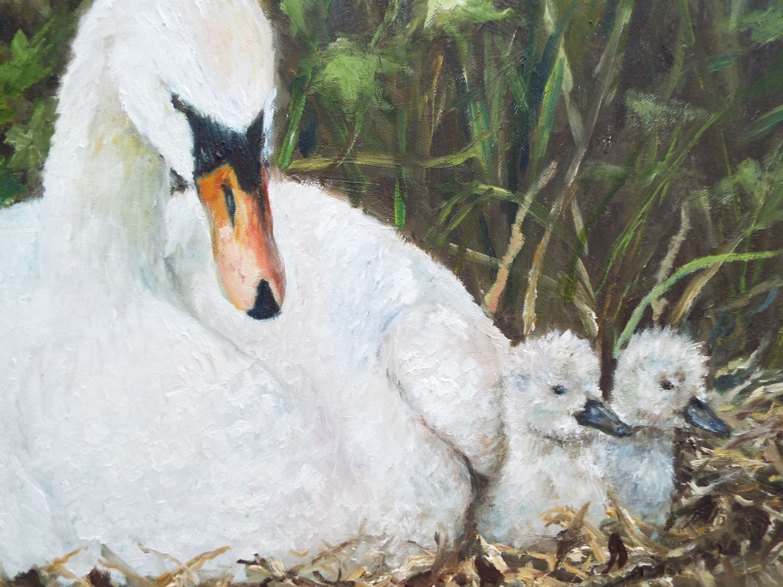 Swan And Cygnets Original Large Oil Painting Signed Framed Wildlife Andi J Lucas photo furniture