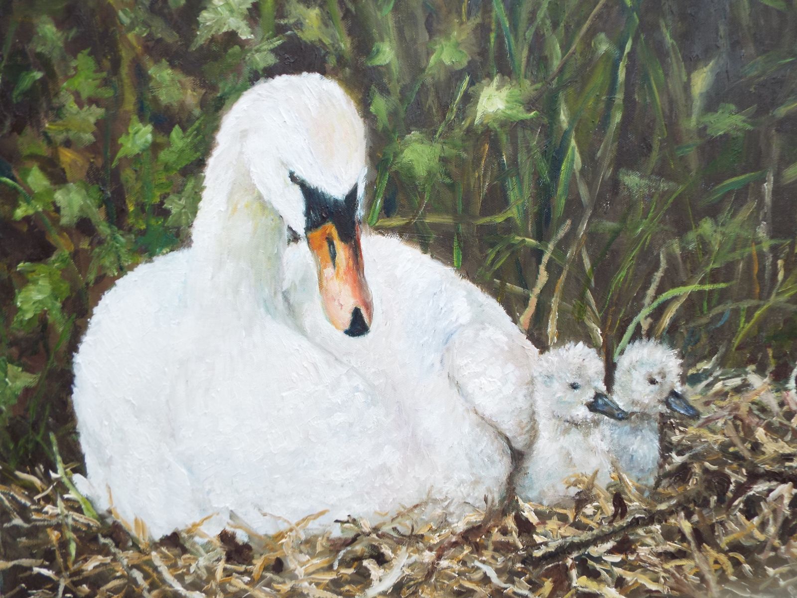 Swan And Cygnets Original Large Oil Painting Signed Framed Wildlife Andi J Lucas photo vinterior