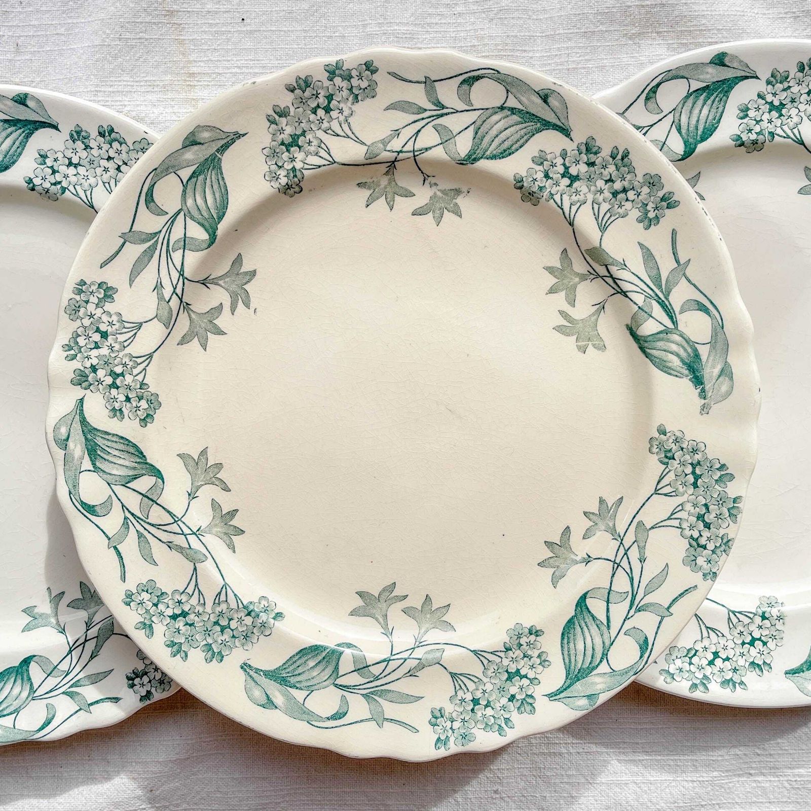 photo furniture Set Of 6 Antique Terre De Fer "Lilac" Dinner Plates – Longchamp 19th Century – Vintage French Tableware