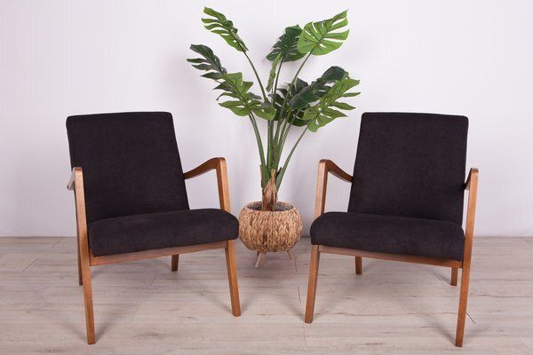 Set Of Type 300 138 Beech Armchairs From Bystrzyckie Furniture Factory, 1960s photo for sale