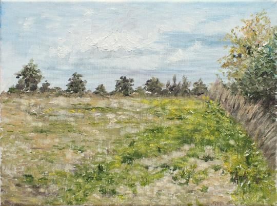 Summer Field Landscape Farm Original Oil Painting Signed Framed Andi J Lucas photo for sale