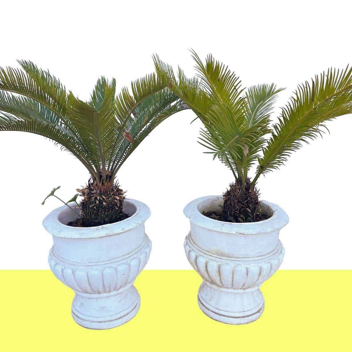 Classic Vase Set, Ideal For Adding A Touch Of Timeless Elegance To Any Environment.