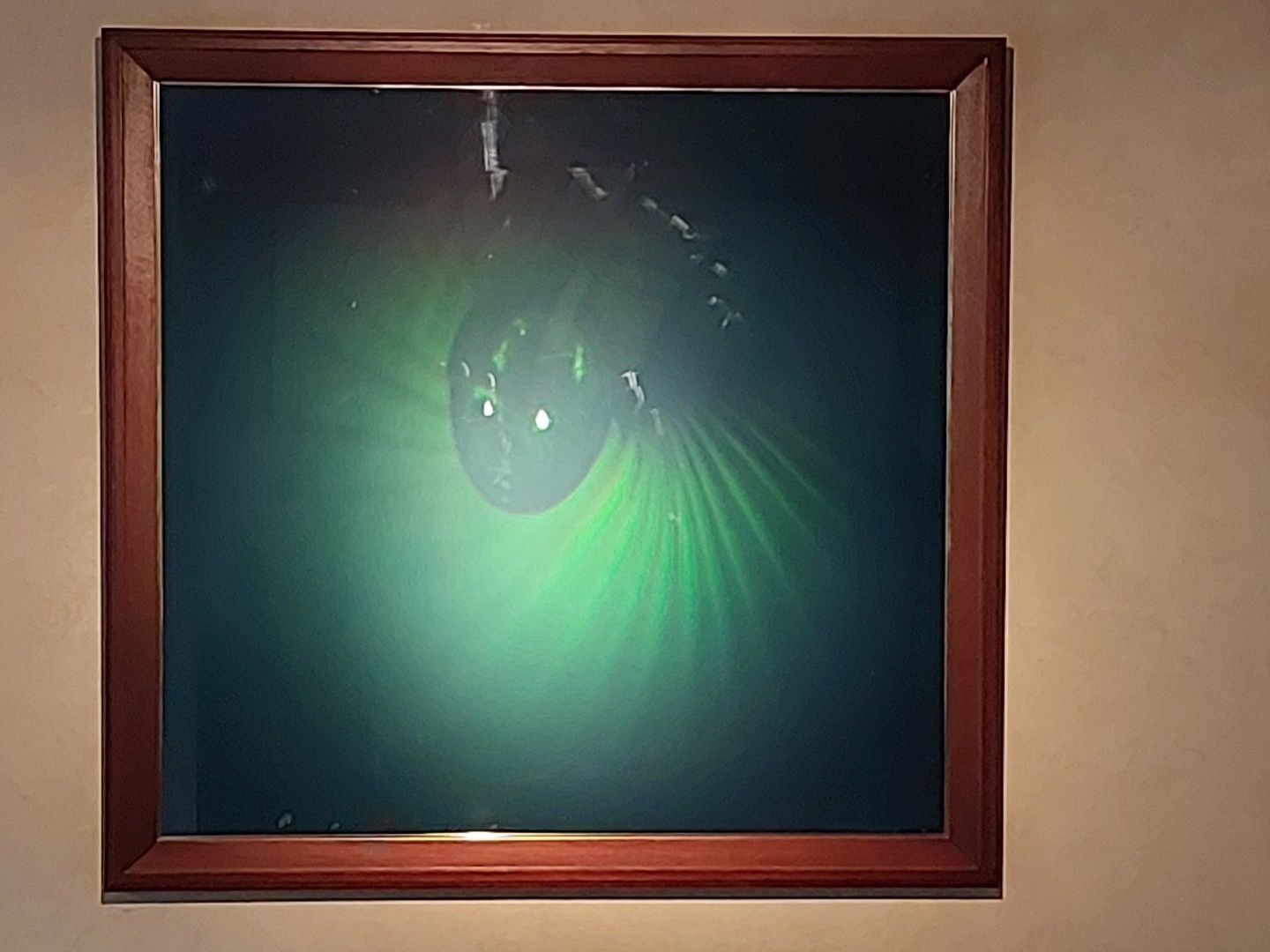Hologram Art Work   ‘Voile De Femme’ photo Art