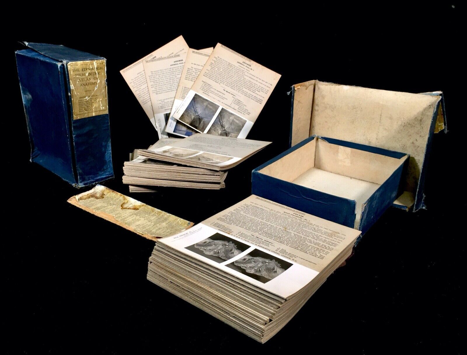 photo furniture Antique Pair Of Boxed Edinburgh Stereoscopic Atlas Of Anatomy Cards Views C.1905