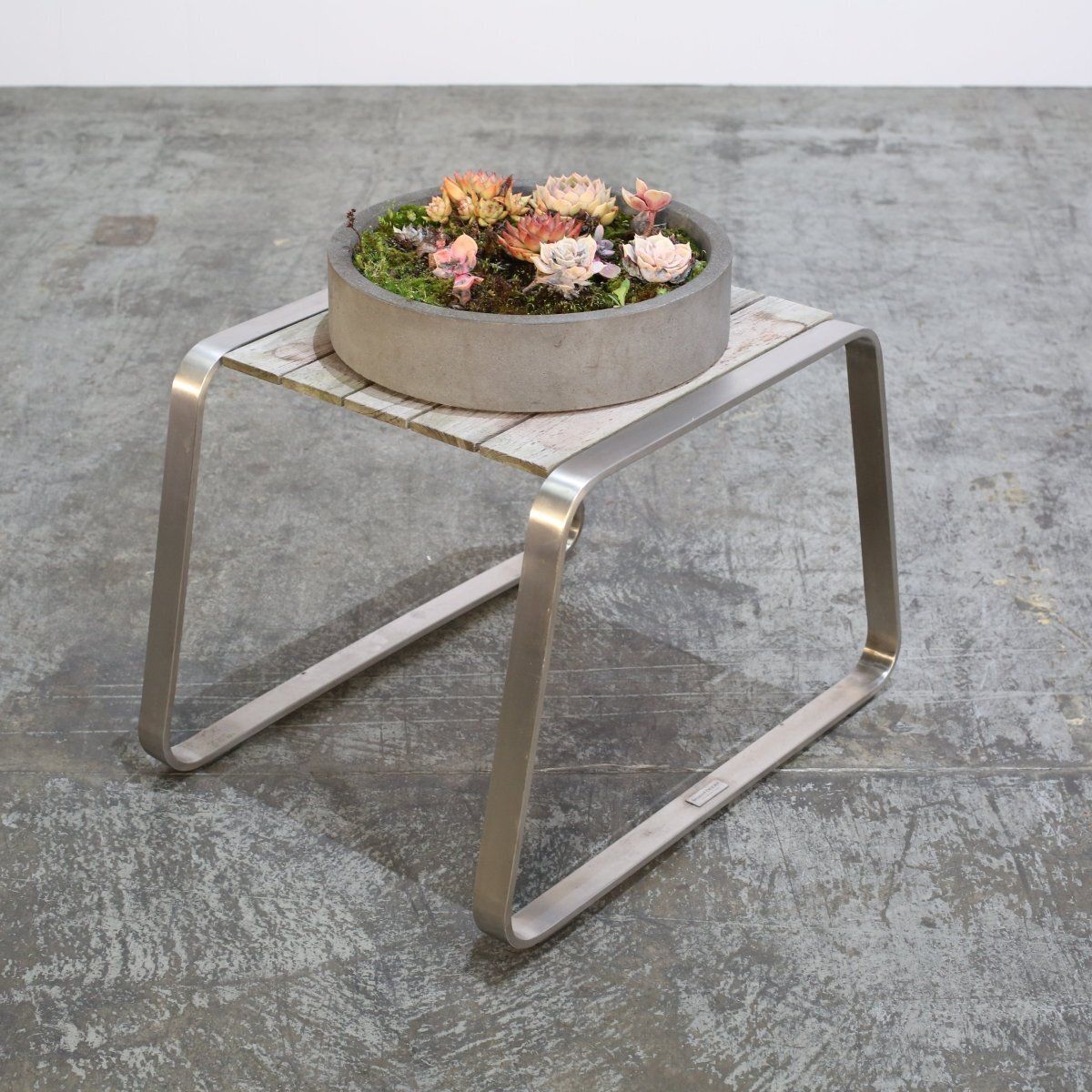 Ceramic Plant Bowls With Succulents, Set Of Two photo furniture