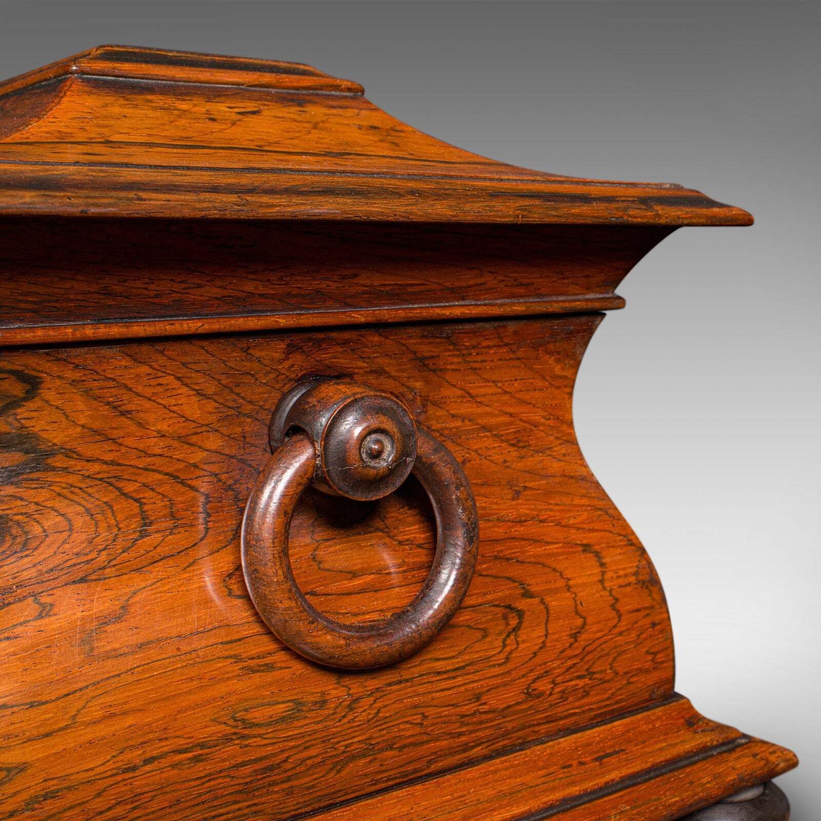 1526.0 Antique Sarcophagus Loose Leaf Tea Caddy, Drawing Room, English, Regency, C.1820 photo