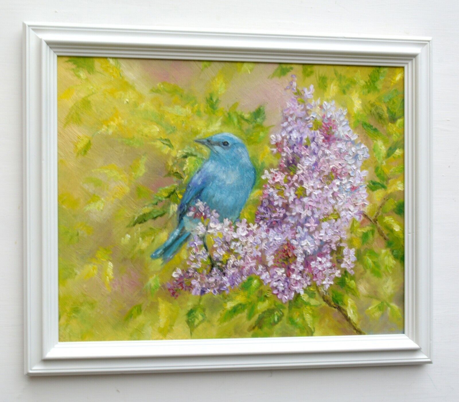 Mountain Bluebird Original Oil Painting Signed Framed Wildlife Andi J Lucas photo 950.0