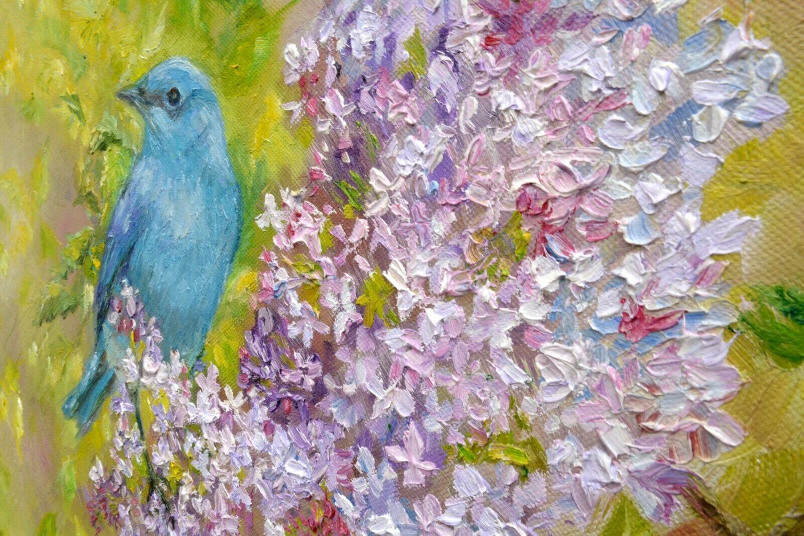 Mountain Bluebird Original Oil Painting Signed Framed Wildlife Andi J Lucas photo buy